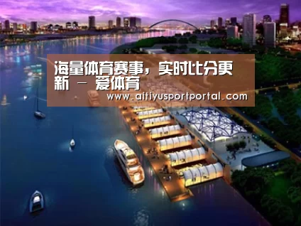 案例展示八