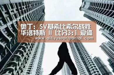 奥丁: SV基希比希尔战胜华洛特斯 II 比分3:1_爱体育官网(图1) 爱体育直播