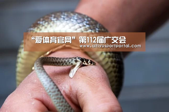 “爱体育官网”第112届广交会(图3) 爱体育