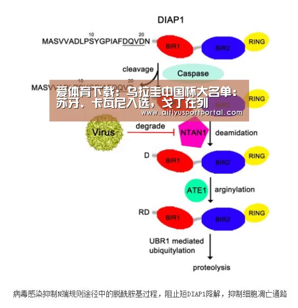 爱体育下载:乌拉圭中国杯大名单:苏牙、卡瓦尼入选,戈丁在列(图1) 爱体育官网